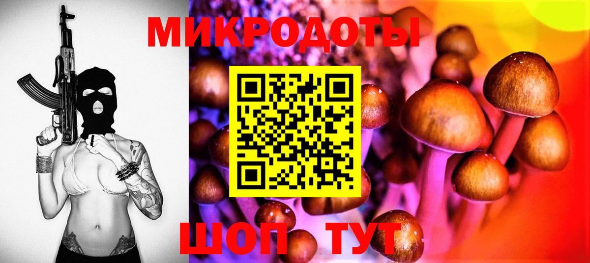 Галлюциногенные грибы MAGIC MUSHROOMS  Вход с VPN  купить наркотик  Галлюциногенные грибы Psilocybe  Волхов 